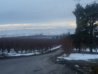 Sagemoor Farms