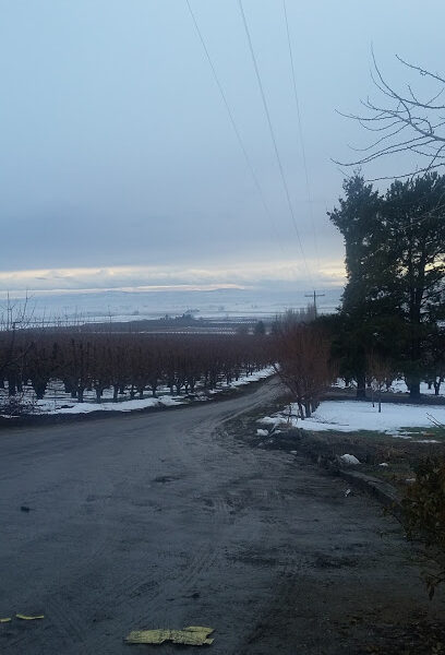 Sagemoor Farms