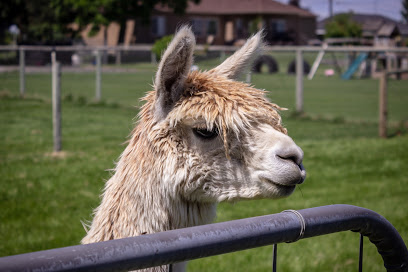 Sandollar Farms Alpacas & Pyrs
