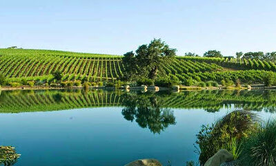Wine Canyon Tours