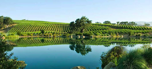 Wine Canyon Tours