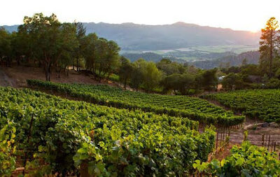 Arkenstone Vineyards