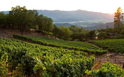Arkenstone Vineyards