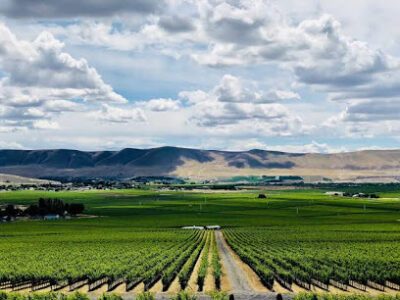 Col Solare Winery