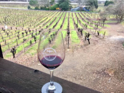 Zichichi Family Vineyard