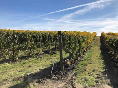 Va Piano Vineyards