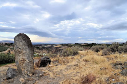 Naches Heights Vineyard