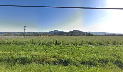 Hill Family Vineyard Management