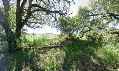 Toyon Vineyards
