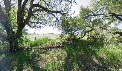 Toyon Vineyards