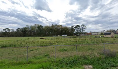 Homegrowers Community Farm- McComb- Veazey Neighborhood