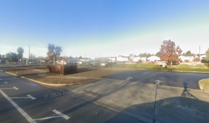 KLM Trees Lot