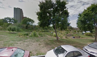 Boyd Street Urban Farm