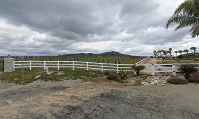 Palmador Vineyards