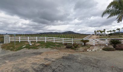 Palmador Vineyards
