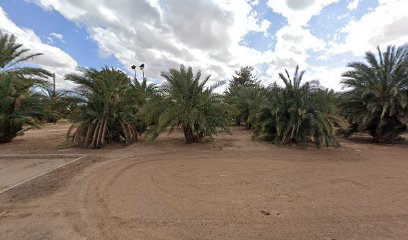 ASU Arboretum Date Sales