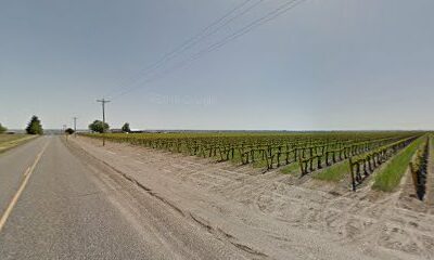 Gamache Vineyard