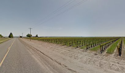 Gamache Vineyard