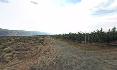 Lucky Bohemian Vineyards