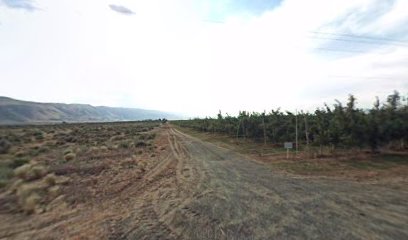 Lucky Bohemian Vineyards