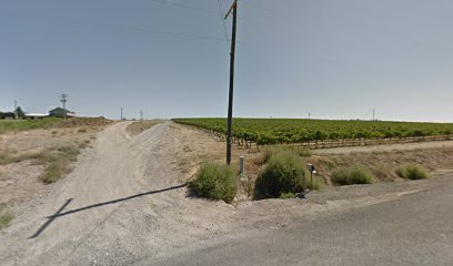 ￼Two Blondes Vineyard