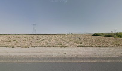 Airfield vineyards