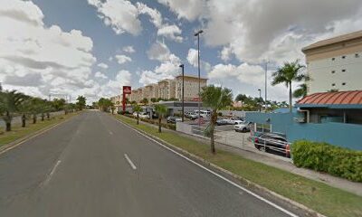 Guaynabo City Christmas Trees