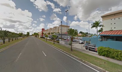 Guaynabo City Christmas Trees