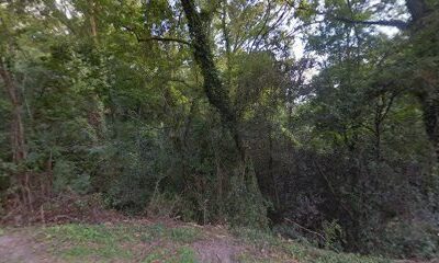 Ingleside Apaiary