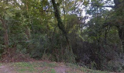 Ingleside Apaiary