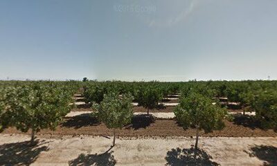 Martinelli Farms