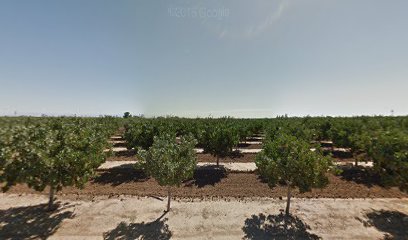 Martinelli Farms