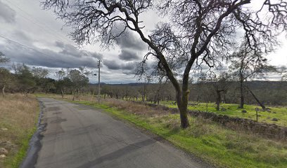 VinRoc