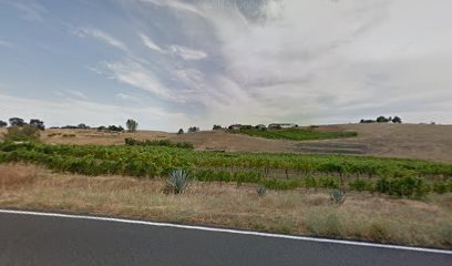 Camp Far West Vineyard