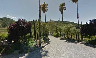 Alban Vineyards