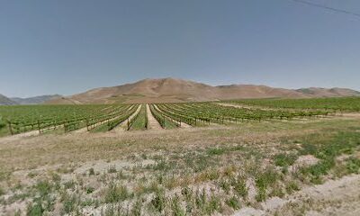 clv Winery