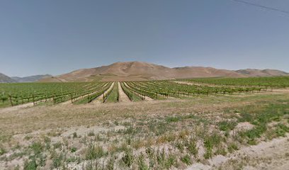 clv Winery