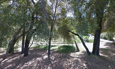 Poalillo Vineyards