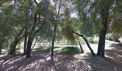Poalillo Vineyards