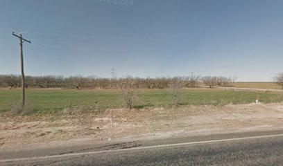 Caton Farms Inc