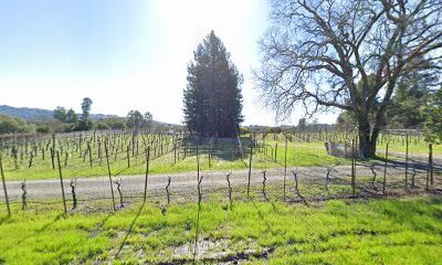 Sable Ridge Vineyards