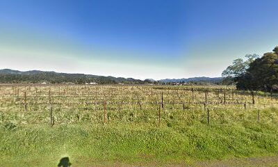Hayne Vineyard