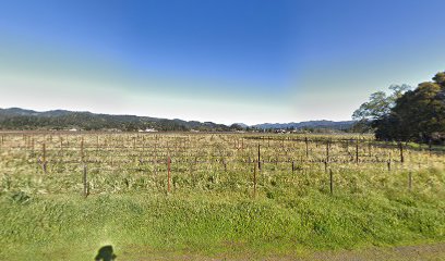 Hayne Vineyard