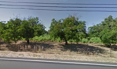 Chiarito Vineyard