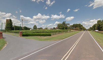 rayland vineyards