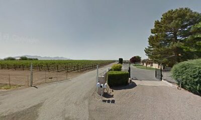 New Mexico Vineyards Inc