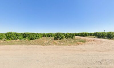 Yuma Vineyards