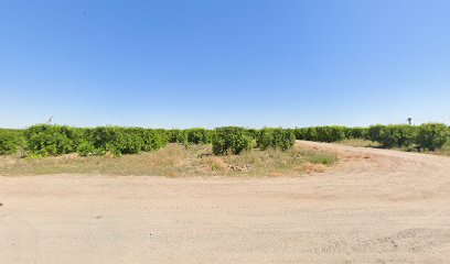 Yuma Vineyards