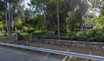 Vista Vineyard