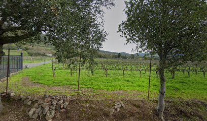 Elke Vineyards